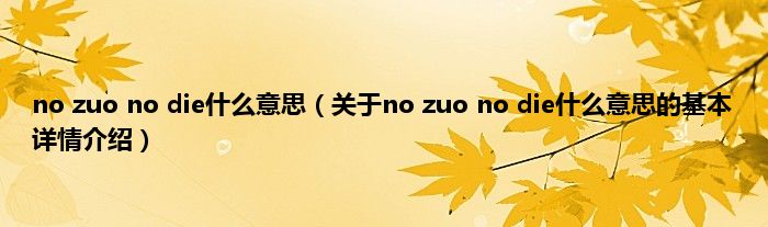 no zuo no die什么意思(关于no zuo no die什么意思的基本详情介绍)