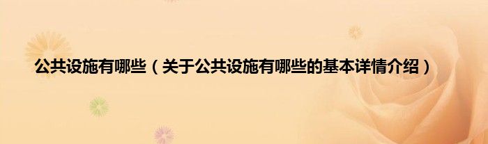 公共设施有哪些（关于公共设施有哪些的基本详情介绍）