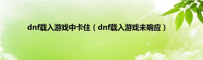 dnf载入游戏中卡住（dnf载入游戏未响应）
