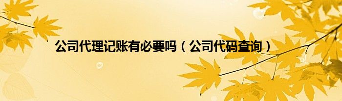 公司代理记账有必要吗(公司代码查询)