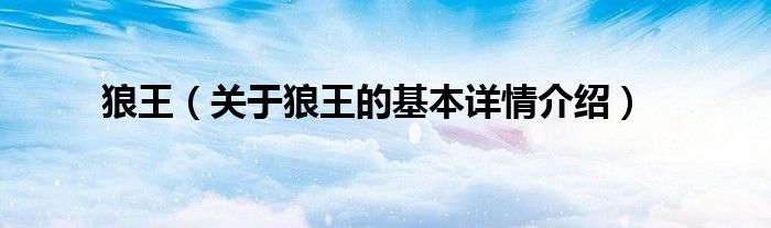 狼王（关于狼王的基本详情介绍）