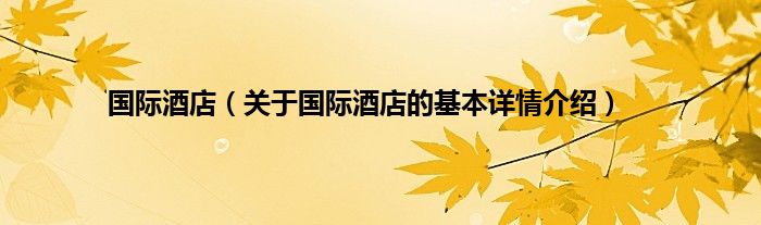 国际酒店（关于国际酒店的基本详情介绍）