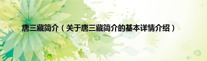 唐三藏简介（关于唐三藏简介的基本详情介绍）