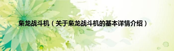 枭龙战斗机（关于枭龙战斗机的基本详情介绍）
