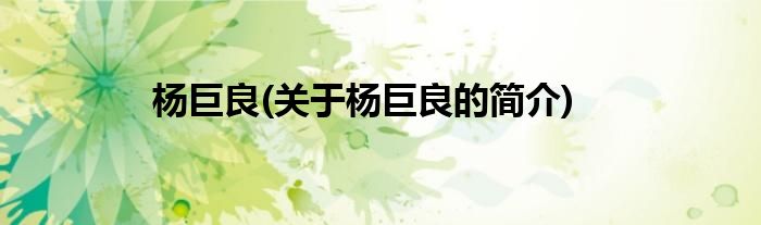 杨巨良(关于杨巨良的简介)
