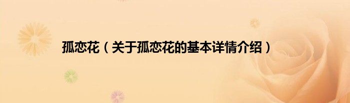 孤恋花（关于孤恋花的基本详情介绍）