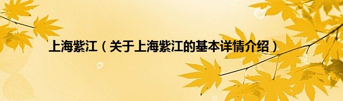 上海紫江（关于上海紫江的基本详情介绍）