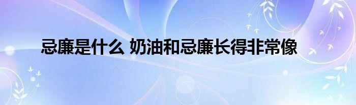 忌廉是什么 奶油和忌廉长得非常像