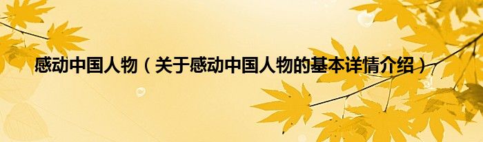 感动中国人物（关于感动中国人物的基本详情介绍）
