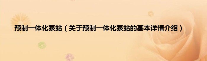 预制一体化泵站（关于预制一体化泵站的基本详情介绍）