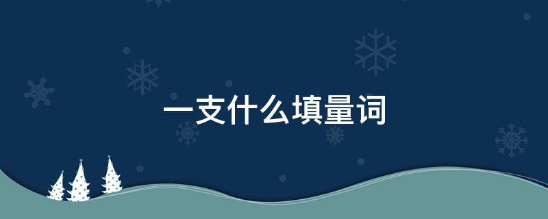一支什么填量词