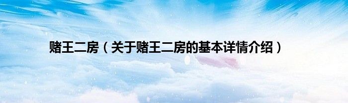 赌王二房（关于赌王二房的基本详情介绍）