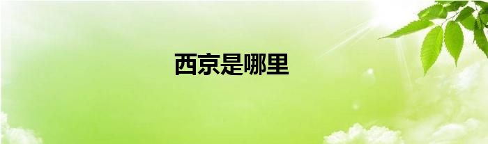 西京是哪里