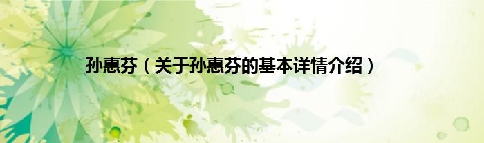 孙惠芬（关于孙惠芬的基本详情介绍）