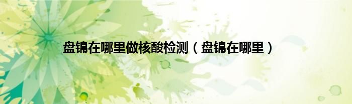 盘锦在哪里做核酸检测（盘锦在哪里）