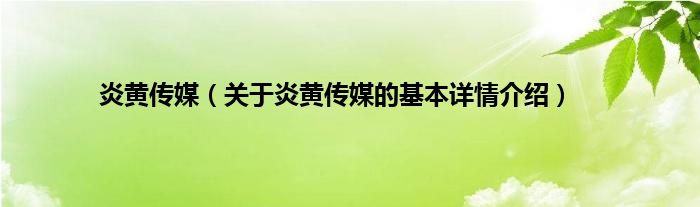 炎黄传媒（关于炎黄传媒的基本详情介绍）