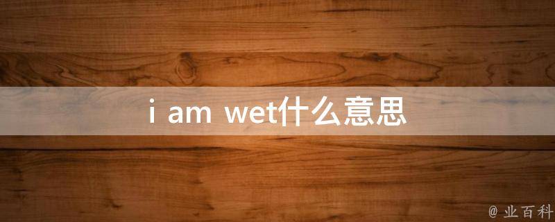 i am wet什么意思