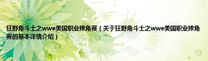 狂野角斗士之wwe美国职业摔角赛（关于狂野角斗士之wwe美国职业摔角赛的基本详情介绍）