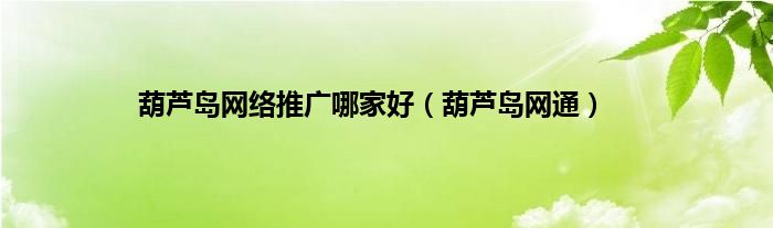 葫芦岛网络推广哪家好（葫芦岛网通）