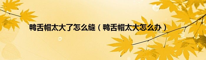 鸭舌帽太大了怎么缝（鸭舌帽太大怎么办）