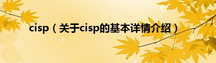 cisp（关于cisp的基本详情介绍）