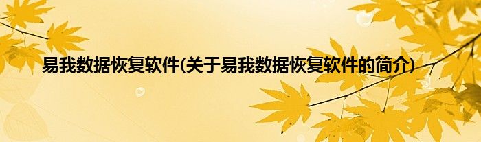 易我数据恢复软件(关于易我数据恢复软件的简介)
