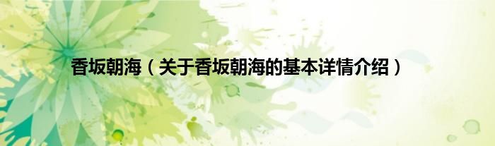 香坂朝海（关于香坂朝海的基本详情介绍）