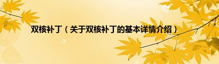 双核补丁（关于双核补丁的基本详情介绍）