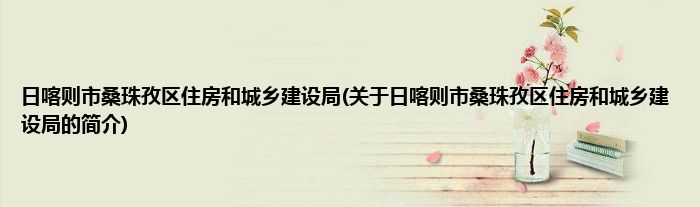 日喀则市桑珠孜区住房和城乡建设局(关于日喀则市桑珠孜区住房和城乡建设局的简介)