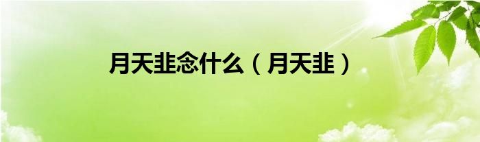 月天韭念什么（月天韭）