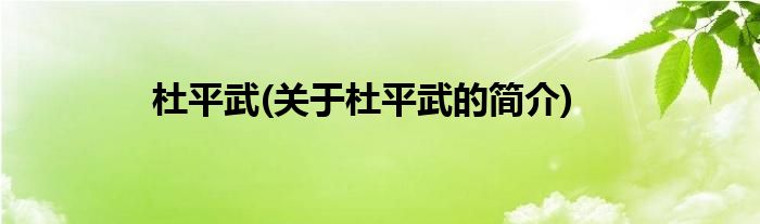 杜平武(关于杜平武的简介)
