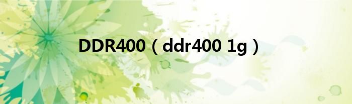 DDR400（ddr400 1g）