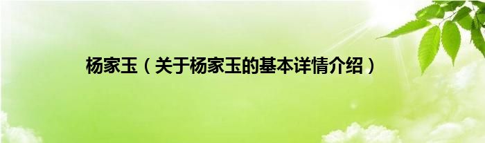 杨家玉（关于杨家玉的基本详情介绍）