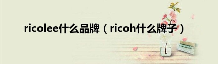 ricolee什么品牌(ricoh什么牌子)