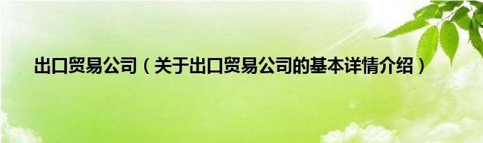 出口贸易公司(关于出口贸易公司的基本详情介绍)
