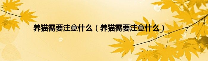 养猫需要注意什么（养猫需要注意什么）