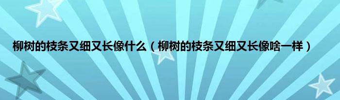 柳树的枝条又细又长像什么（柳树的枝条又细又长像啥一样）