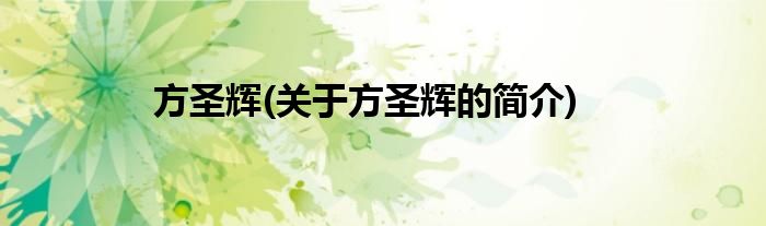 方圣辉(关于方圣辉的简介)