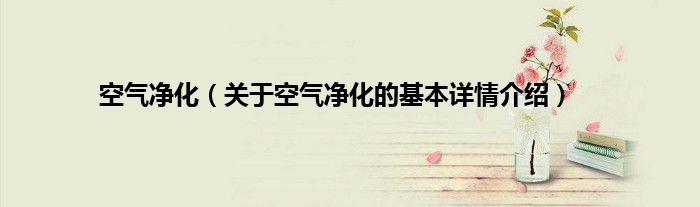 空气净化（关于空气净化的基本详情介绍）