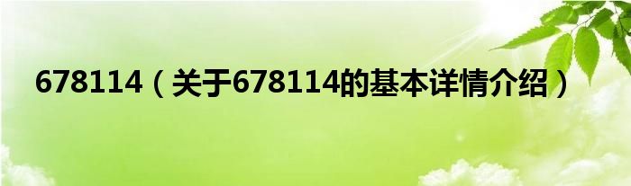 678114(关于678114的基本详情介绍)