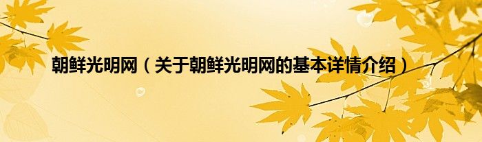 朝鲜光明网（关于朝鲜光明网的基本详情介绍）