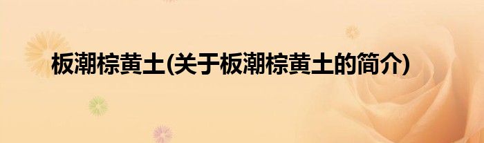 板潮棕黄土(关于板潮棕黄土的简介)