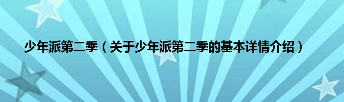 少年派第二季（关于少年派第二季的基本详情介绍）