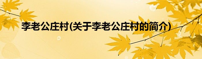 李老公庄村(关于李老公庄村的简介)