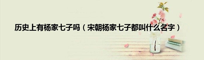 历史上有杨家七子吗（宋朝杨家七子都叫什么名字）