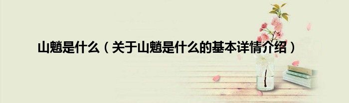山魈是什么（关于山魈是什么的基本详情介绍）