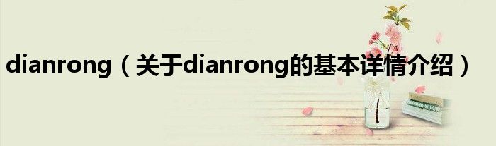 dianrong（关于dianrong的基本详情介绍）