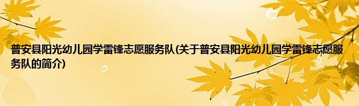 普安县阳光幼儿园学雷锋志愿服务队(关于普安县阳光幼儿园学雷锋志愿服务队的简介)