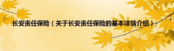 长安责任保险（关于长安责任保险的基本详情介绍）