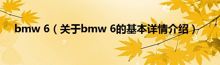bmw 6（关于bmw 6的基本详情介绍）